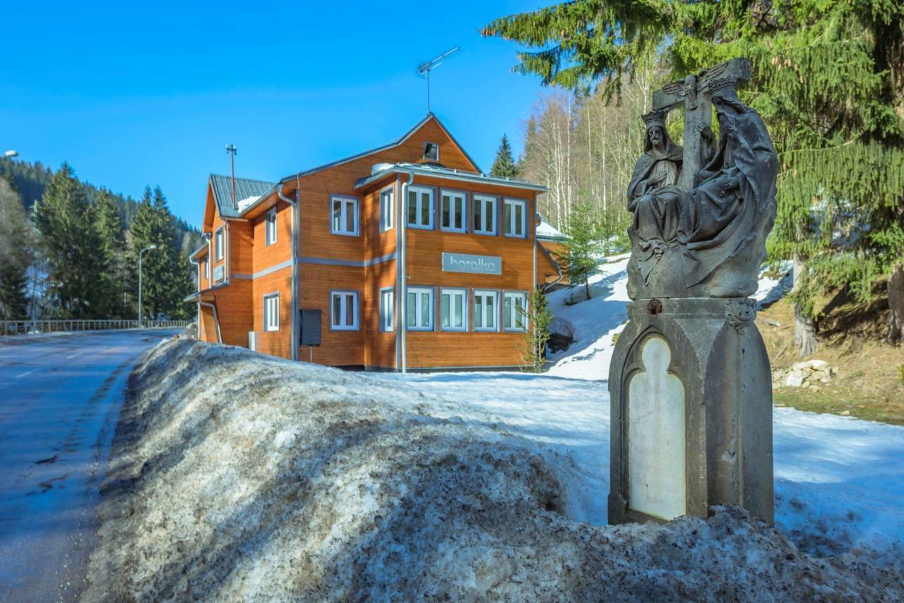 Horalka Apartman Pec Pec pod Snezkou Exterior photo